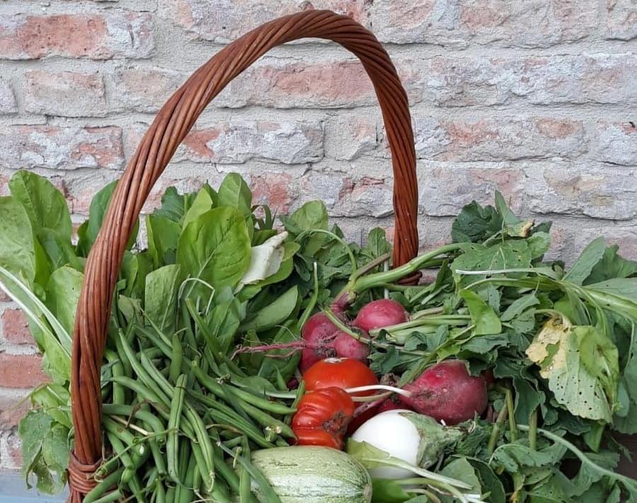 Cascina Angelina Villa Casteggio Eksteriør bilde